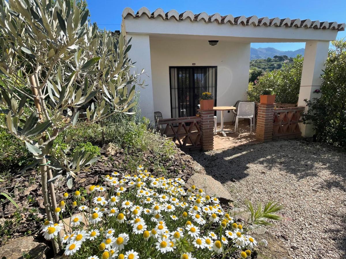 Casa Del Limon Apartman Canillas de Aceituno Kültér fotó